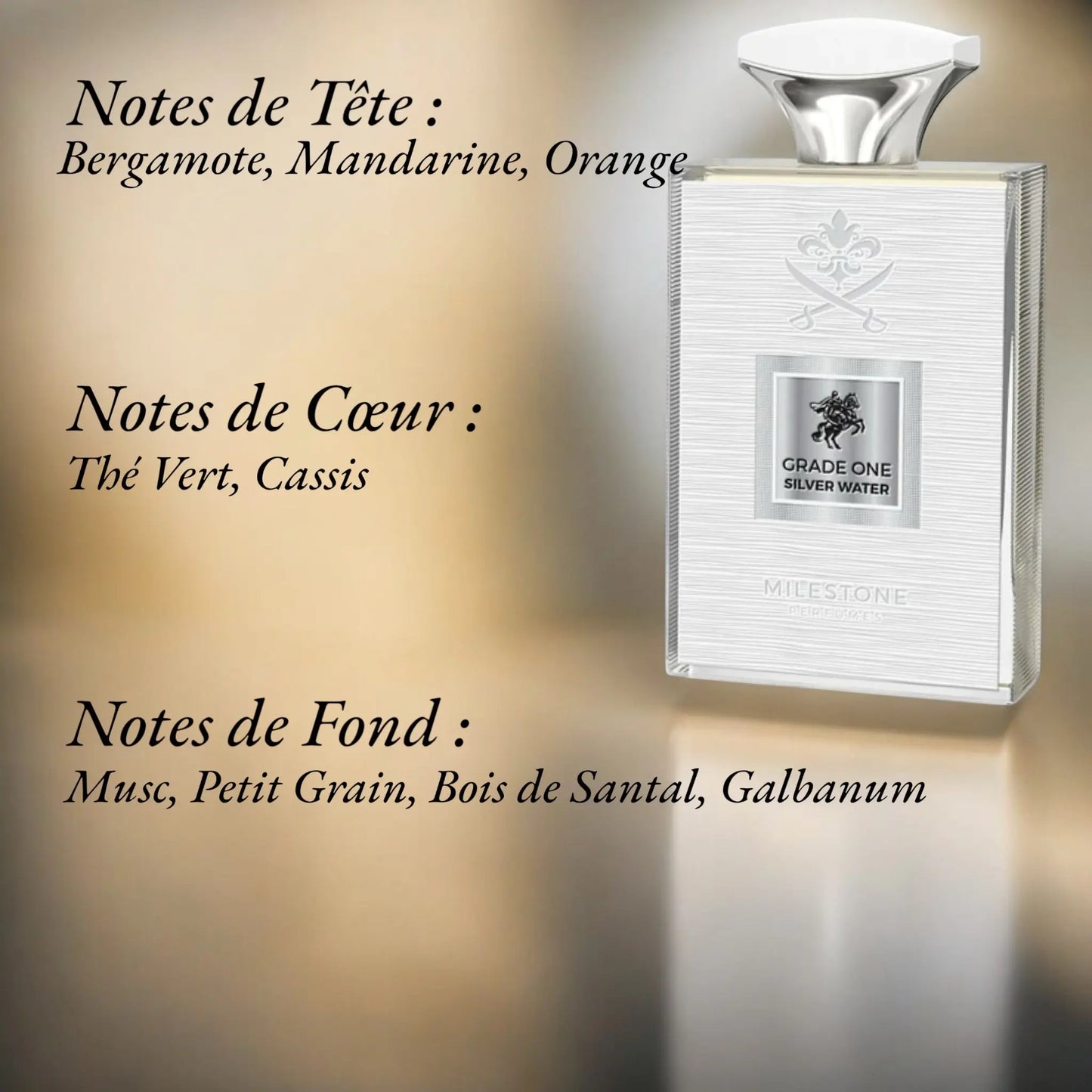 Grade One Silver Water Echantillon 2 ML - YOUBAÏ BAÏYOU Parfums de Dubaï